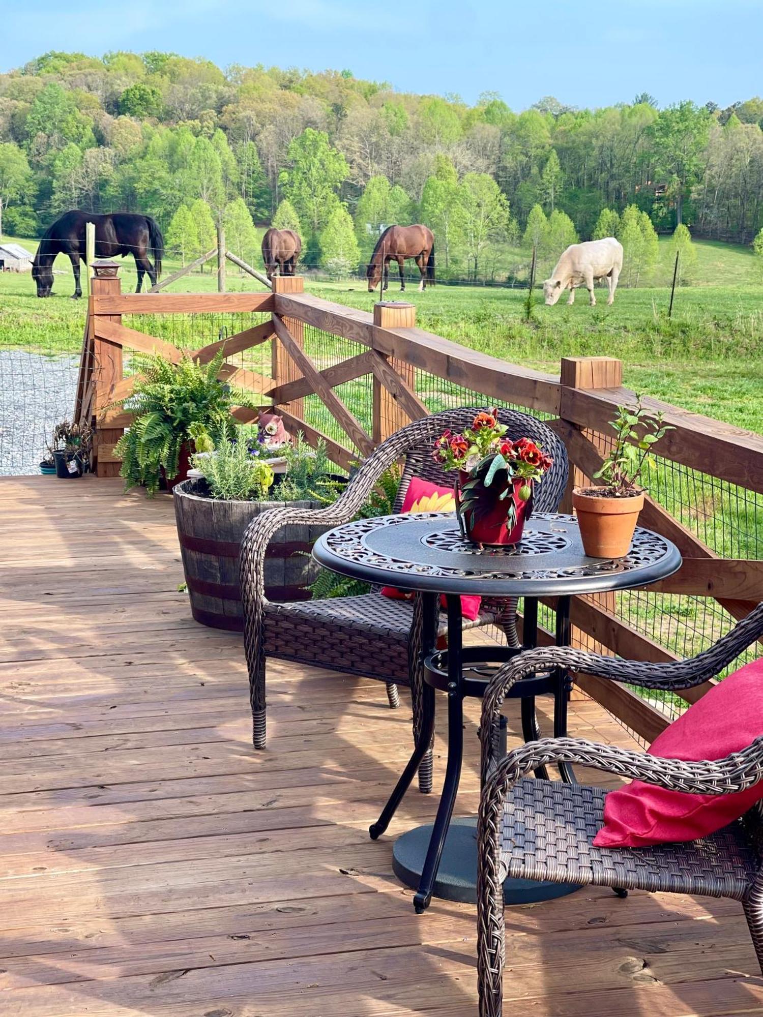 The Dogwood Inn Blue Ridge Bagian luar foto