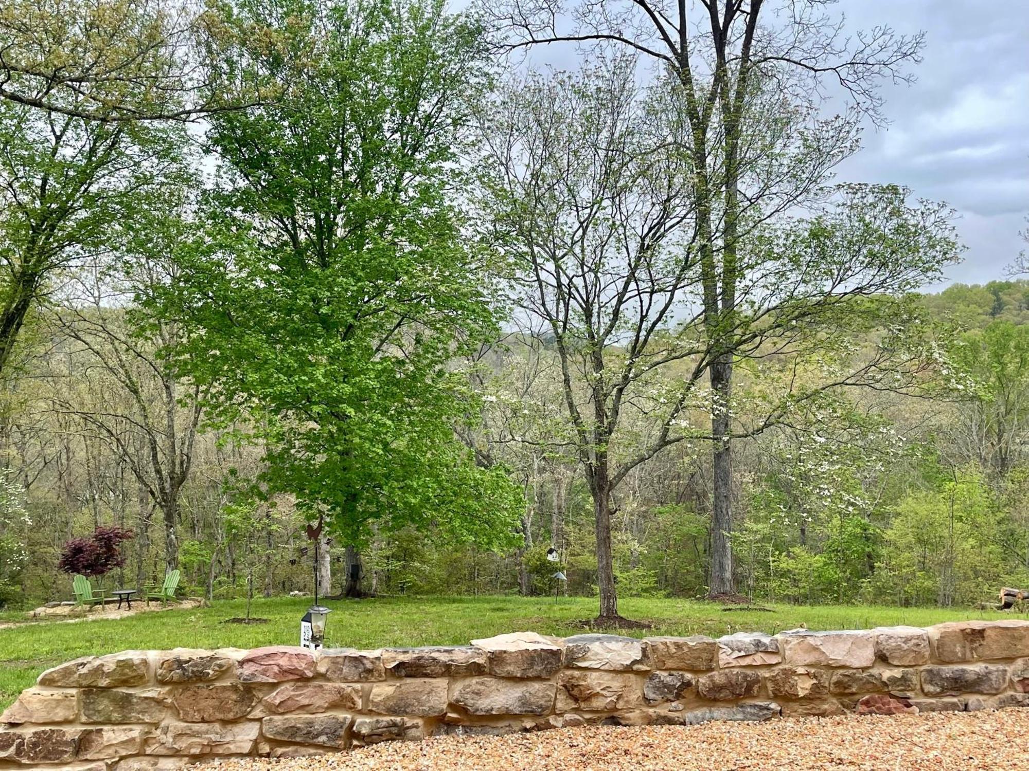 The Dogwood Inn Blue Ridge Bagian luar foto