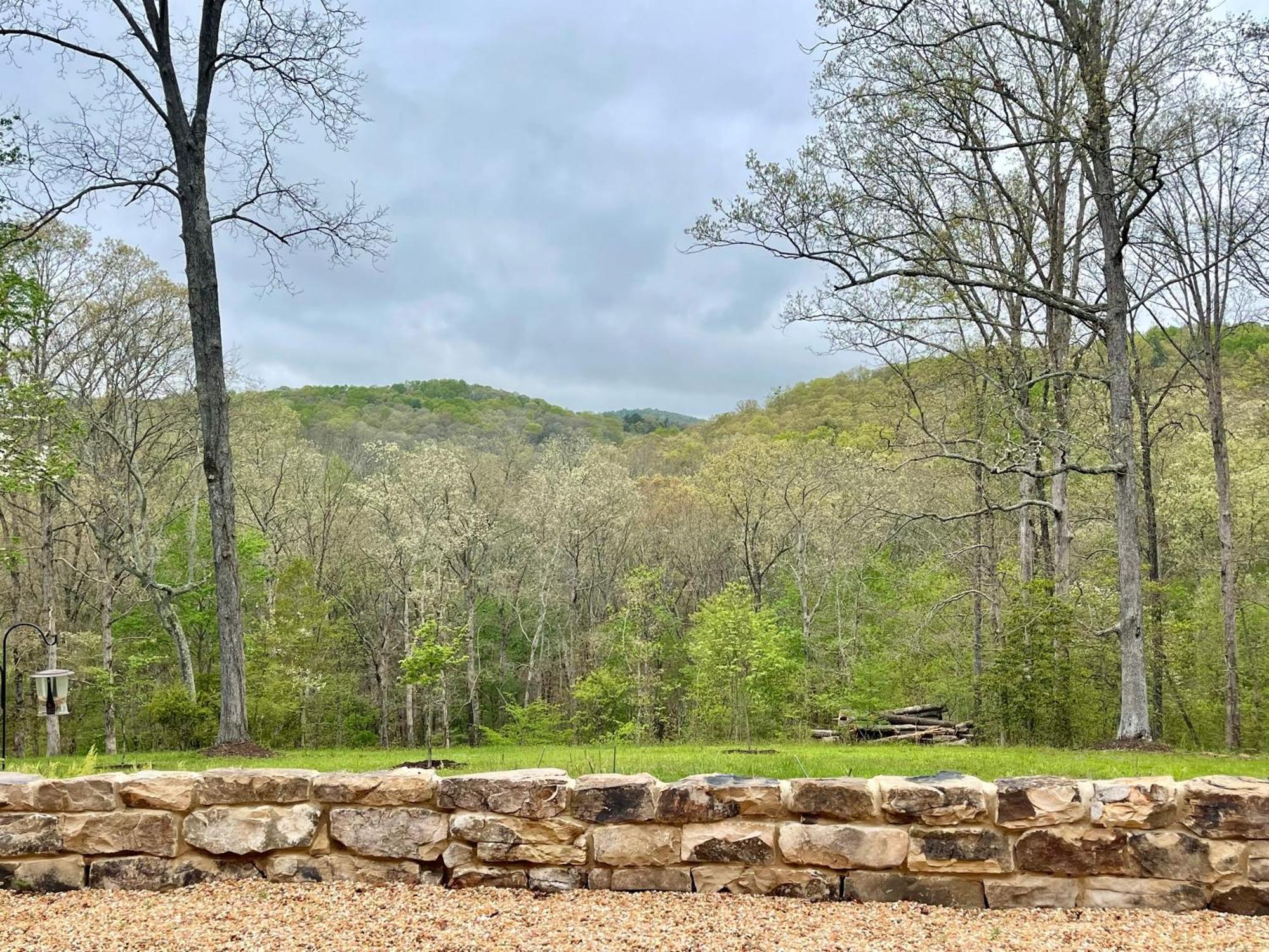 The Dogwood Inn Blue Ridge Bagian luar foto